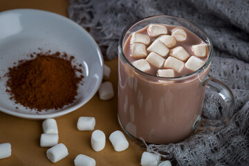 Sweet Warm Hot Chocolate Cocoa with Marshmallows