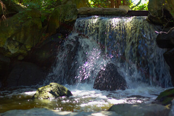 Beautiful scene of Japanese garden in wroclaw, Poland	