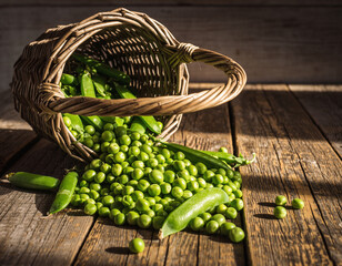 Abundant fresh green peas spill from a rustic wicker basket onto an old wooden table, bathed in warm natural light.