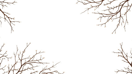 Bare tree branches on white background, nature frame border design element
