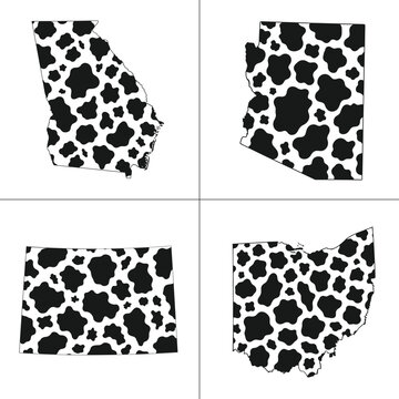 cow print state vector art for Georgia Arizona Wyoming and Ohio country t shirt graphics