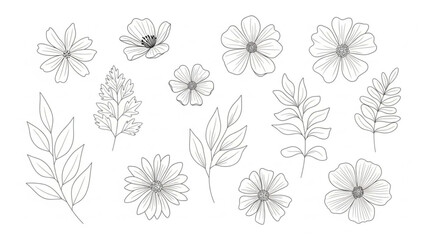 A delicate line drawing of various flowers and leaves on a