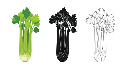 Celery stalk illustrations in color silhouette and line art styles © Marina