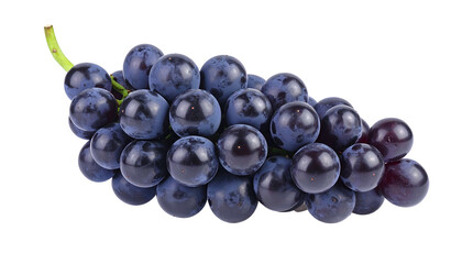 A bunch of ripe, dark-purple, glossy grapes on a green stem, isolated on black