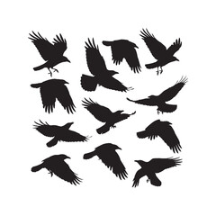 Crow Silhouettes Collection,Crows Silhouettes,Vector Crow Silhouettes,Black Crow Silhouettes,crow vector