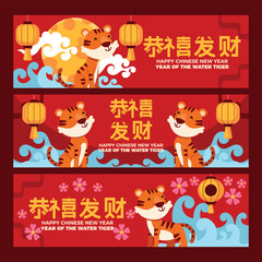 Celebrating chinese new year: year of the water tiger. Happy New Year