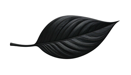 A single, stylized, dark gray leaf against a solid black background