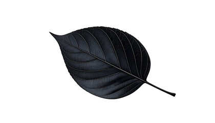 A stylized, dark blue leaf with detailed veins, floating against a solid black background