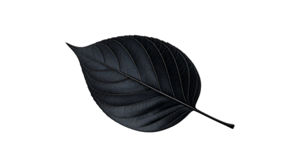 A stylized, dark blue leaf with detailed veins, floating against a solid black background