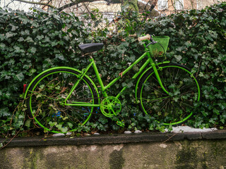 Bright Green Bicycle With Basket Leaning Against Ivy Wall in Urban Garden Scene