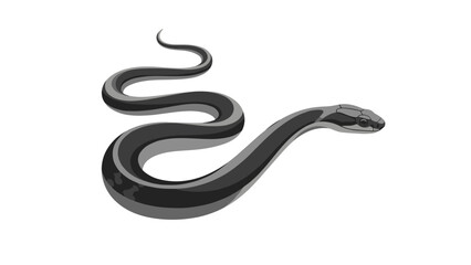 Fototapeta premium Black snake isolated on a white background.