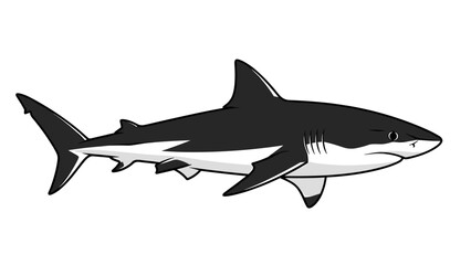 Obraz premium Illustration of a Great White Shark swimming in the ocean.
