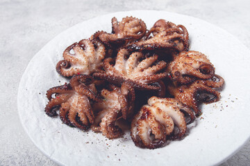 Baby octopus grilled on a white plate, homemade, no people,