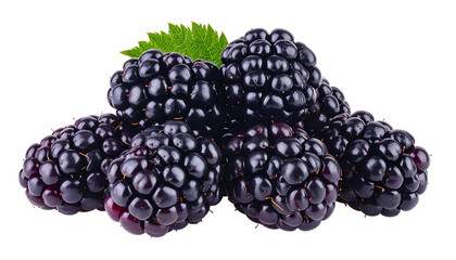 Close-up of ripe, glistening blackberries piled, with a single green leaf