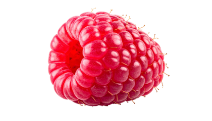 Isolated close-up of a vibrant red berry with a textured surface, translucent to light
