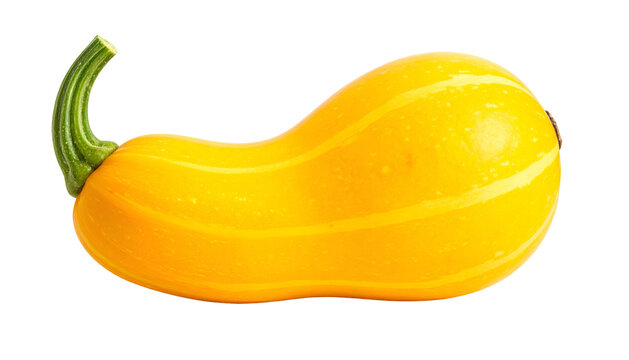 Isolated yellow gourd with green curved stem, smooth surface, and subtle vertical lines