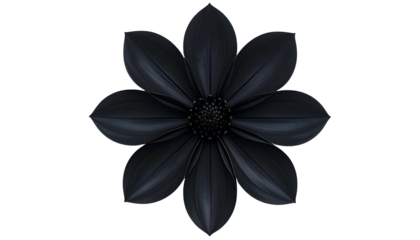 A fully bloomed black flower on a black background. Detailed petals radiate from the center