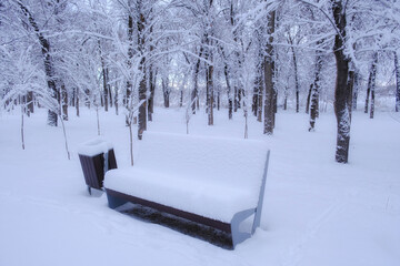 A snow covered bench and urns in a winter park among bare trees. 