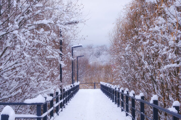 Winter landscape in a park with a snow-covered footpath and black railings surrounded by trees and shrubs covered with snow. Cloudy weather, quiet atmosphere