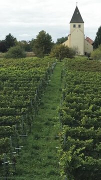 Vineyard rows lead to a church on a cloudy day in Germany