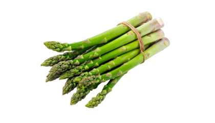 Fresh bundle of vibrant green asparagus stalks tied with twine, isolated on black