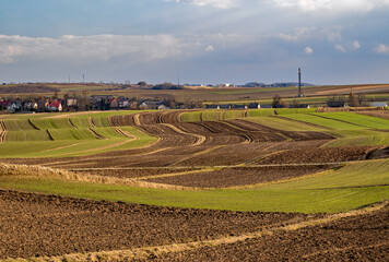 jesienne pola uprawne