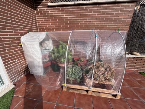 Invernadero estructura cubierta con pl&aacute;stico sobre tubos pvc en arco anclado al palet de madera. Las macetas de plantas, suculentas, jade, vista a&eacute;rea. sobre el palet, fondo pared de ladrillo, terraza