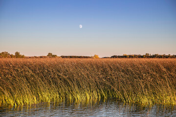 Moon over Mud Lake, Idaho