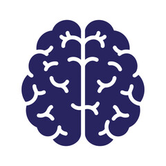 Obraz premium Human brain illustration with white background