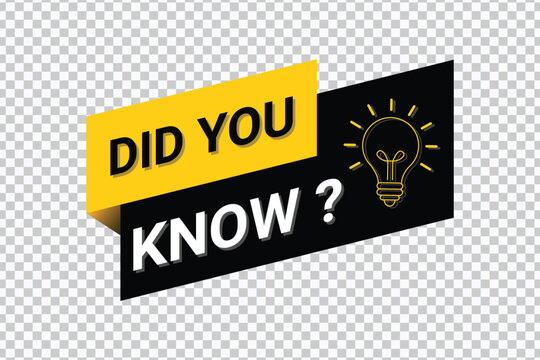 Did You Know Light Bulb Question Banner Modern Flat Knowledge Graphic