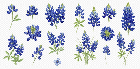Set of beautiful bluebonnet flowers and leaves in various arrangements, isolated on a transparent background. © studio