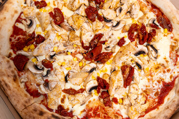 Delicious pizza topped with grilled chicken, sun-dried tomatoes, and mushrooms. Ideal for food photography, restaurant menus, or delivery service promotions. Freshly baked and appetizing.