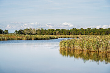 nature sceneries inside the Oasi di Vallevecchia di Brussa, Caorle, Venice, Italy