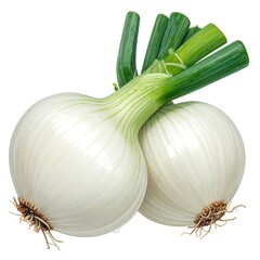 Two white onions with green stalks isolated on a transparent background