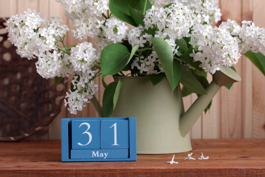 wooden calendar showing May 31st and blooming lilac. date of the event or birthday.