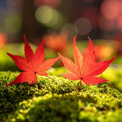 Vibrant autumn leaves on mossy ground