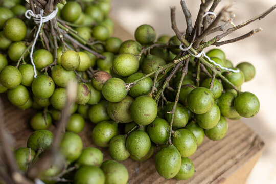 Green mamoncillo fruit in a bunch displayed for sale at a local market.
