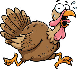 Funny running turkey cartoon illustration, scared thanksgiving bird character, cute farm animal mascot, comic expression, festive holiday vector