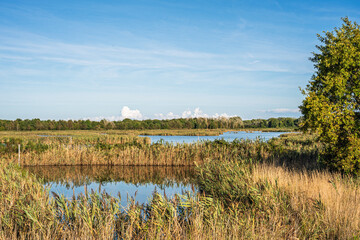 nature sceneries inside the Oasi di Vallevecchia di Brussa, Caorle, Venice, Italy