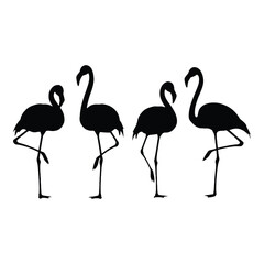 Naklejka premium A simple silhouette illustration showing four elegant flamingos in a row