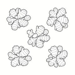 Set of Garlic Bulb Silhouettes