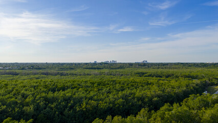 Aerial shot of Matheson Hammock Park in Coral Gables Florida USA