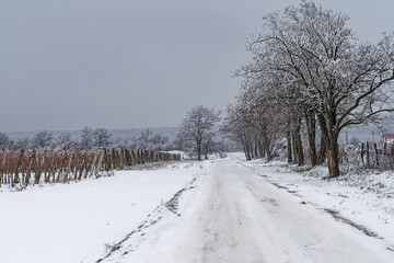 A snowy road meanders through a winter wonderland of frosted trees and fields.