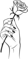 Hand Holding Rose Minimal Line Art Illustration.