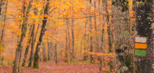 Trail signage. Route of the ancient oak trees in Etxarri-Aranatz, Navarre.