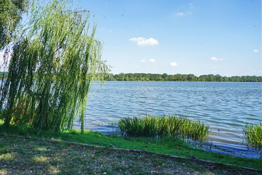 Lower Lake in Mantua, Italy