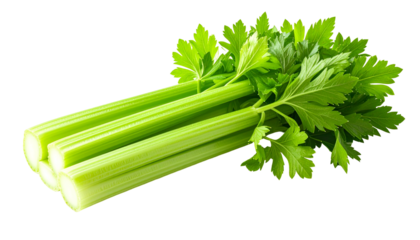 Fresh celery stalks with vibrant green leaves, isolated on a black background