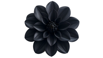 A detailed, high contrast digital image of a perfectly symmetrical, velvet-black Dahlia flower