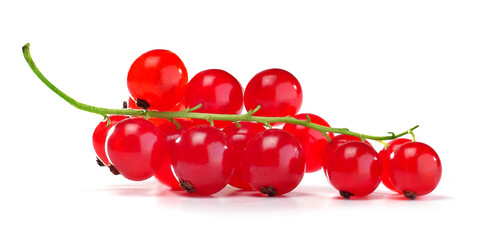 Gałązka świeżych, czerwonych porzeczek na białym tle