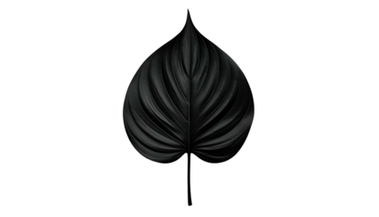Black, stylized leaf centered on black, with defined veining, smooth texture, and elegant lines
